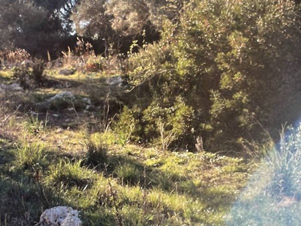 terreno edificabile in vendita a Siracusa