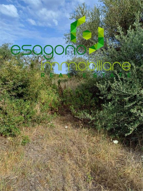 terreno agricolo in vendita a Siracusa