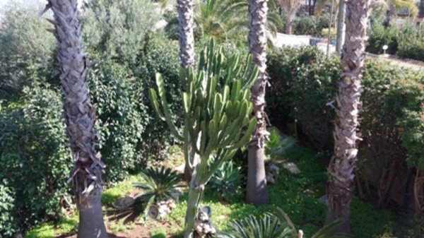 casa indipendente in vendita a Siracusa