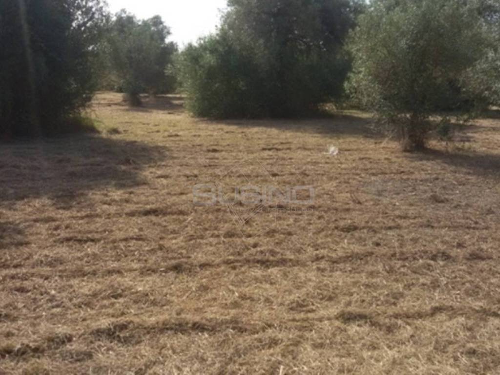 terreno agricolo in vendita a Siracusa