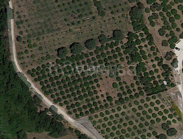 terreno agricolo in vendita a Siracusa in zona Belvedere
