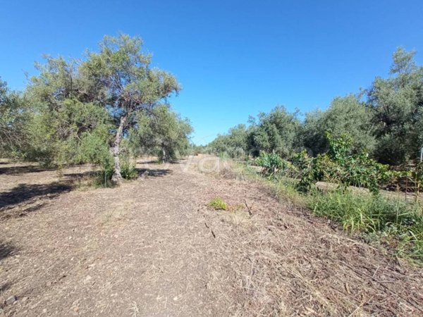 terreno agricolo in vendita a Siracusa