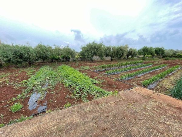 terreno agricolo in vendita a Siracusa in zona Arenella