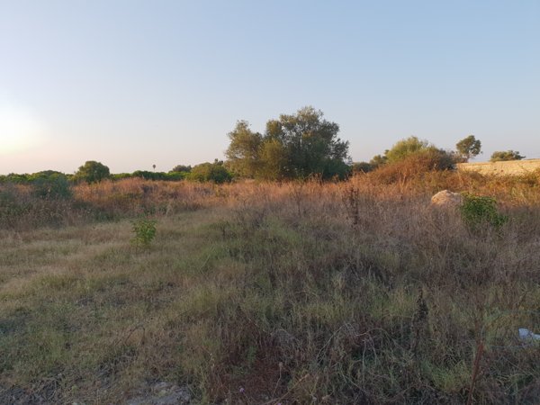 casa indipendente in vendita a Siracusa