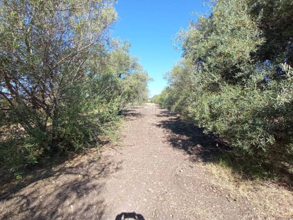terreno agricolo in vendita a Siracusa