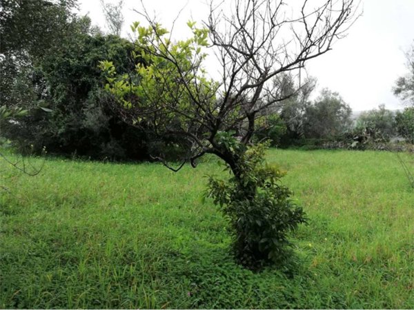 appartamento in vendita a Siracusa in zona Cassibile