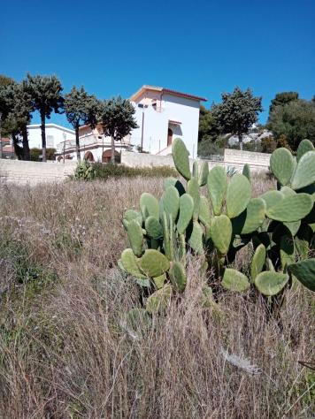 terreno agricolo in vendita a Siracusa in zona Belvedere