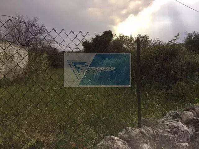 terreno agricolo in vendita a Siracusa in zona Belvedere