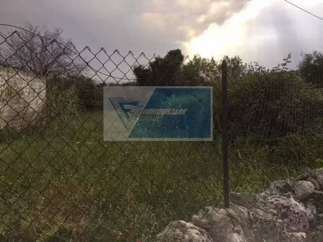 terreno agricolo in vendita a Siracusa in zona Belvedere