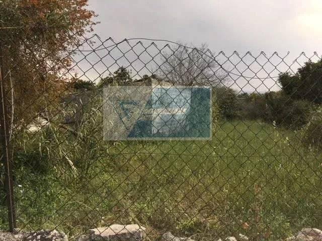 terreno agricolo in vendita a Siracusa in zona Borgata