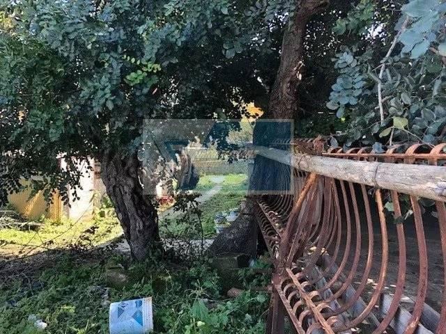 terreno agricolo in vendita a Siracusa in zona Borgata