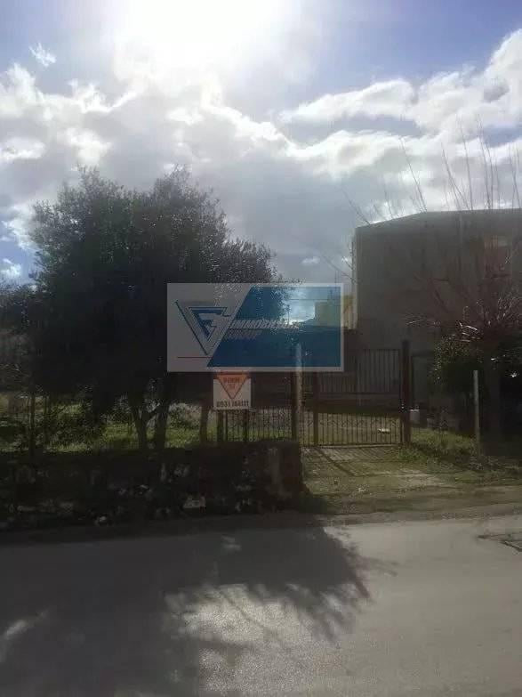 terreno agricolo in vendita a Siracusa in zona Borgata