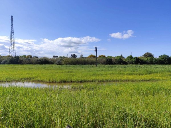 terreno agricolo in vendita a Siracusa