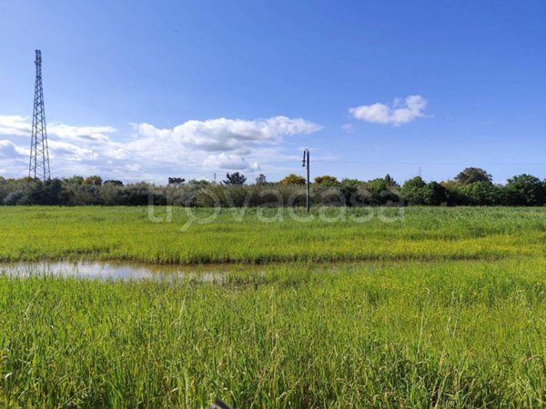 terreno agricolo in vendita a Siracusa