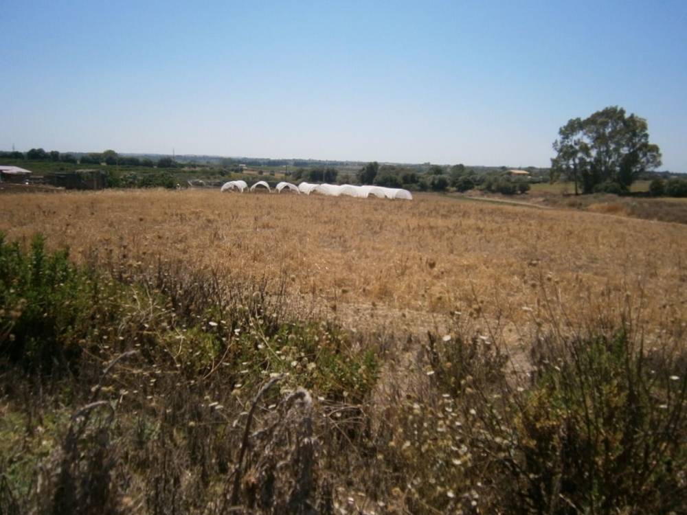 terreno agricolo in vendita a Siracusa