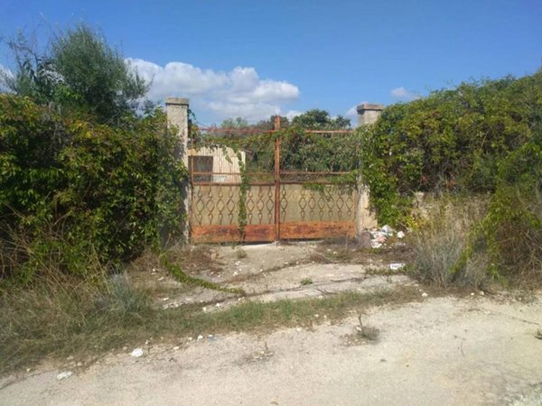 terreno agricolo in vendita a Siracusa in zona Belvedere