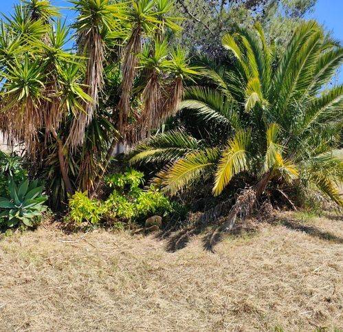 casa indipendente in vendita a Siracusa in zona Isola / Plemmirio