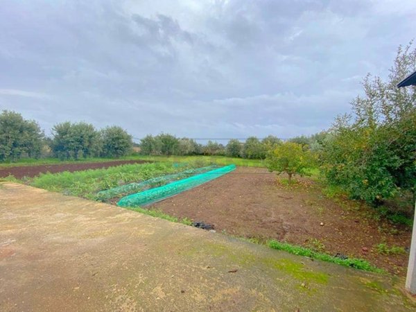 terreno agricolo in vendita a Siracusa in zona Arenella