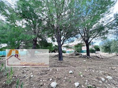 casa indipendente in vendita a Siracusa in zona Scala Greca
