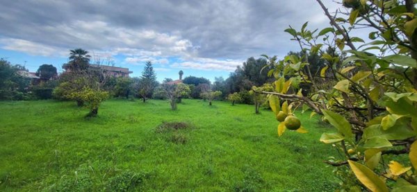 terreno agricolo in vendita a Siracusa in zona Arenella