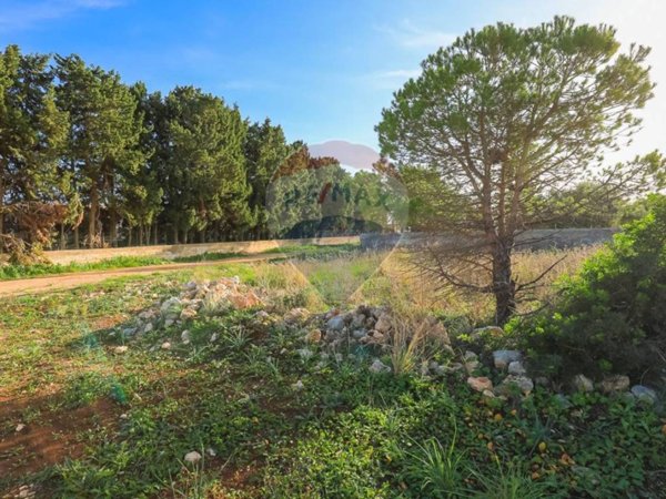 terreno agricolo in vendita a Siracusa in zona Isola / Plemmirio