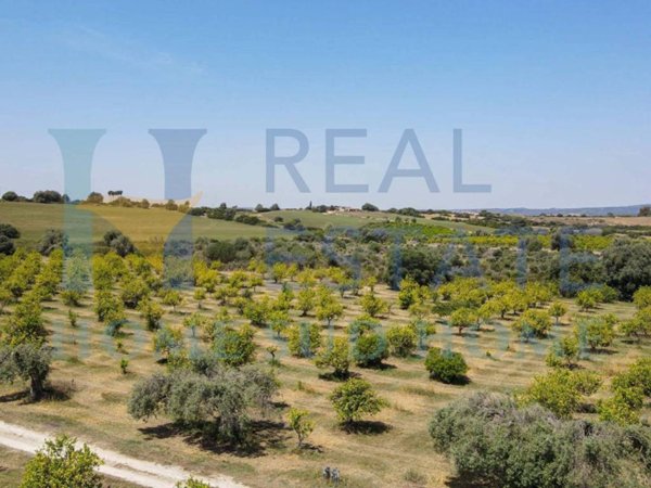 terreno agricolo in vendita a Siracusa in zona Belvedere