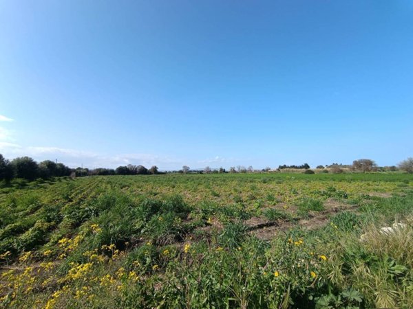 terreno agricolo in vendita a Siracusa in zona Isola / Plemmirio