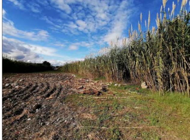 terreno agricolo in vendita a Siracusa