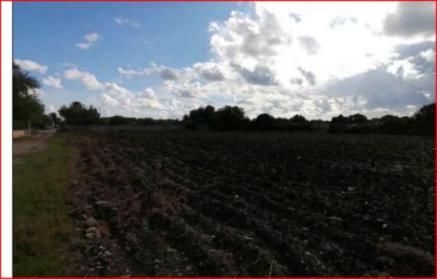 terreno agricolo in vendita a Siracusa