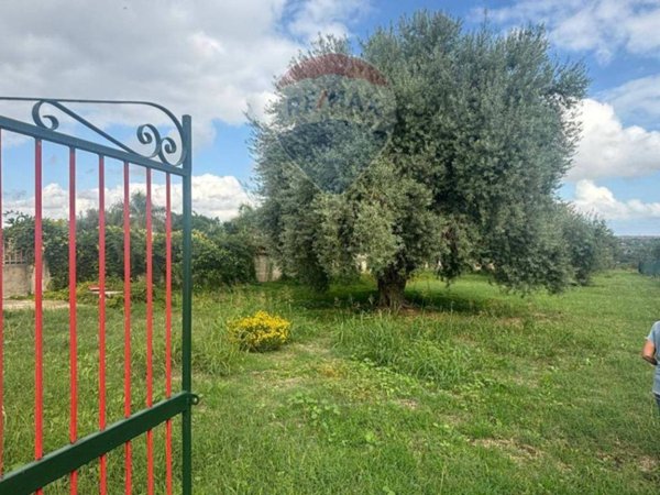 terreno agricolo in vendita a Siracusa in zona Targia