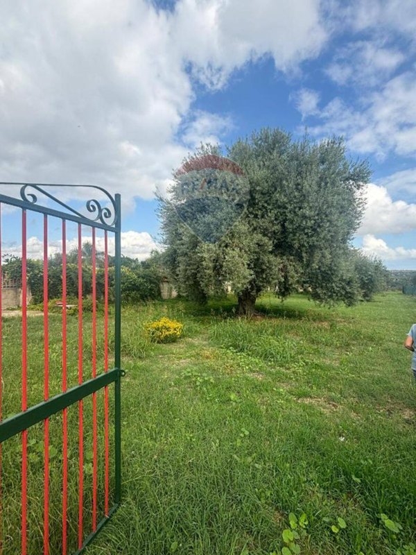terreno agricolo in vendita a Siracusa in zona Targia