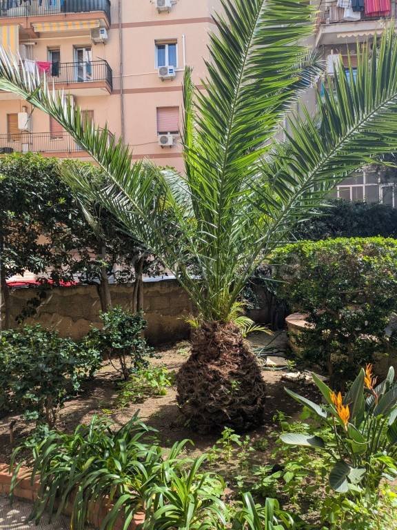 appartamento in vendita a Siracusa