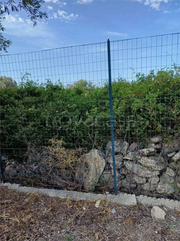 terreno agricolo in vendita a Siracusa in zona Belvedere