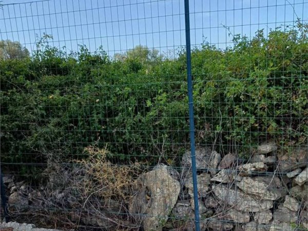 terreno agricolo in vendita a Siracusa in zona Belvedere