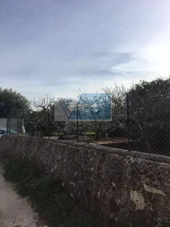 terreno agricolo in vendita a Siracusa in zona Borgata