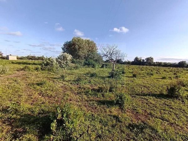 casa indipendente in vendita a Siracusa in zona Borgata