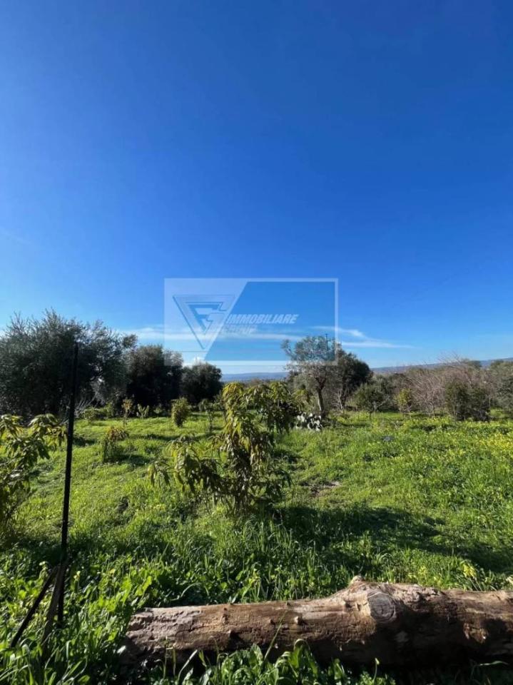 terreno agricolo in vendita a Siracusa in zona Belvedere