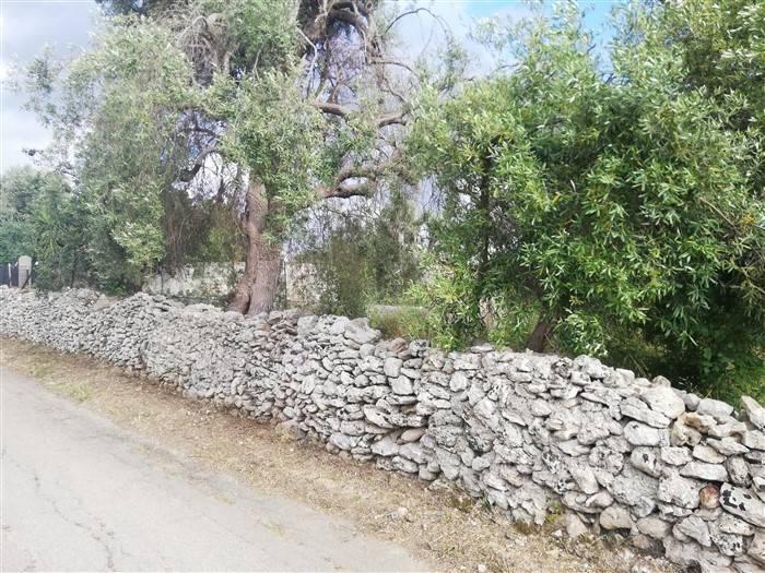 terreno agricolo in vendita a Siracusa in zona Belvedere