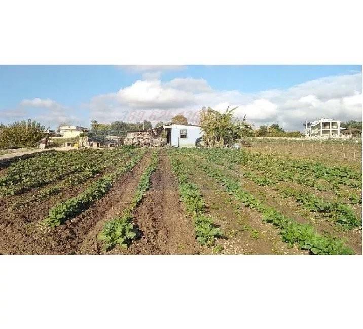 terreno agricolo in vendita a Siracusa in zona Borgata