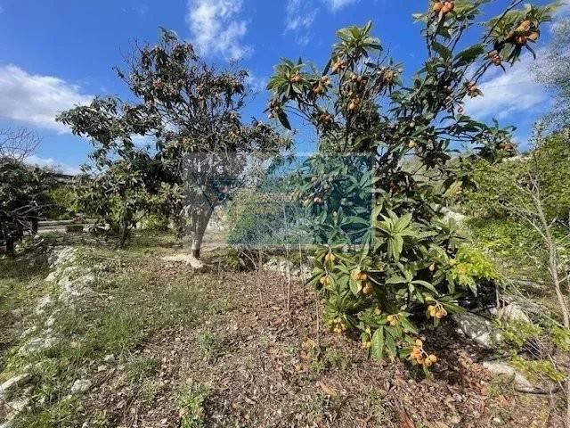 terreno agricolo in vendita a Siracusa in zona Belvedere