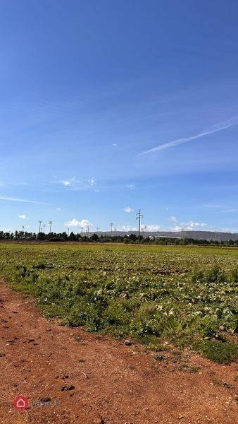 terreno agricolo in vendita a Siracusa in zona Fontane Bianche