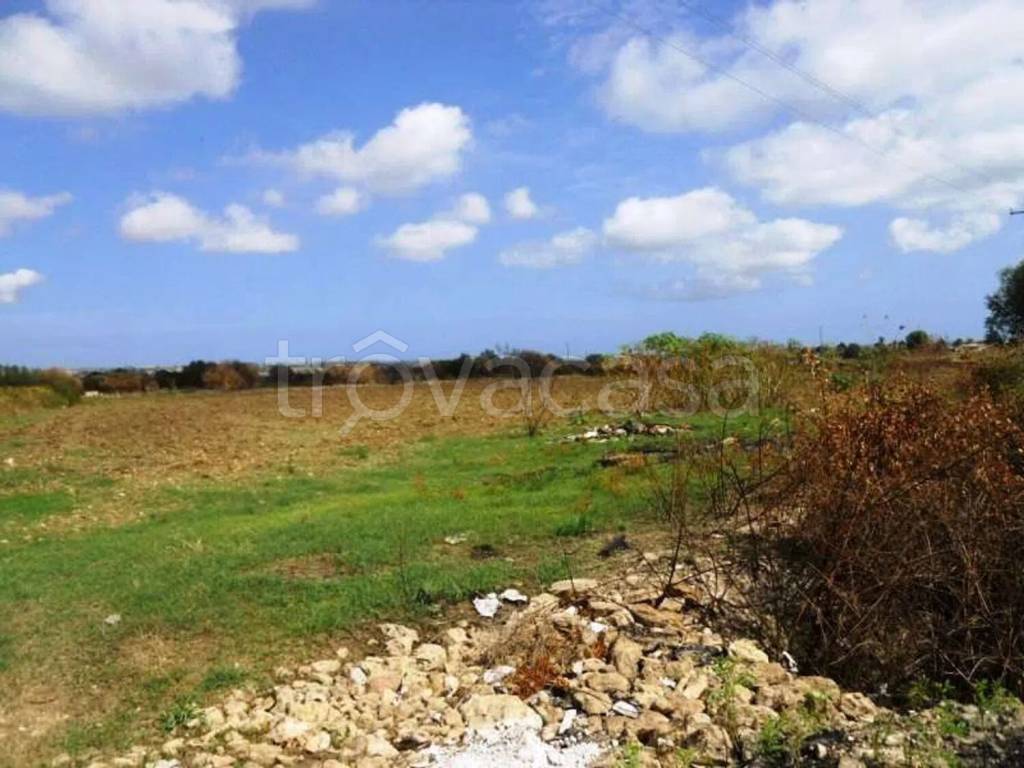 terreno agricolo in vendita a Siracusa in zona Isola Ortigia
