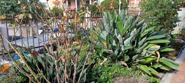 appartamento in vendita a Siracusa in zona Epipoli