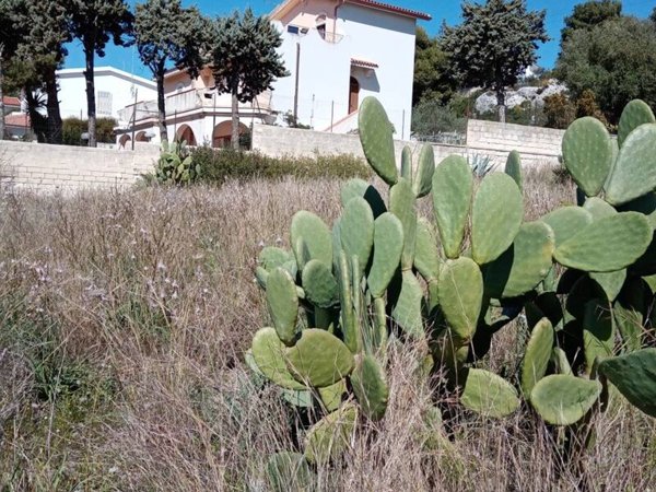 terreno edificabile in vendita a Siracusa in zona Belvedere