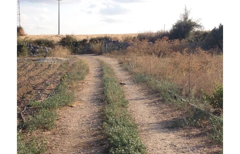 terreno agricolo in vendita a Siracusa in zona Belvedere