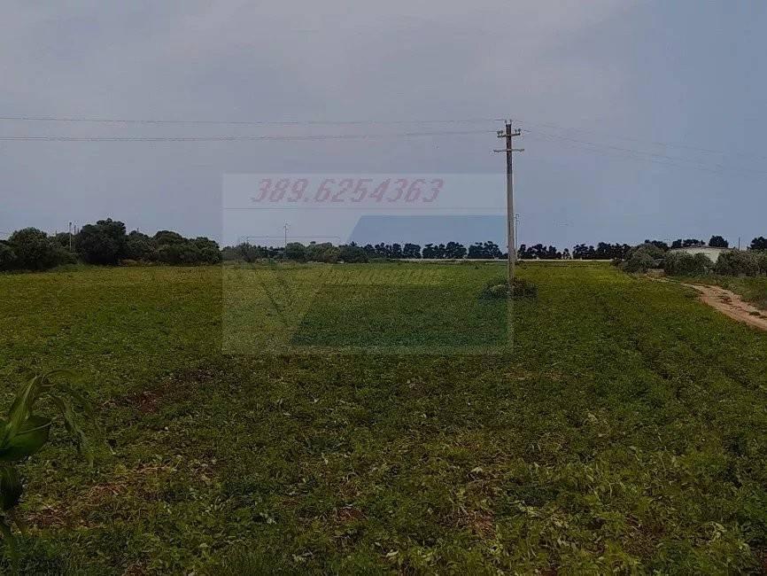 terreno agricolo in vendita a Siracusa in zona Isola / Plemmirio