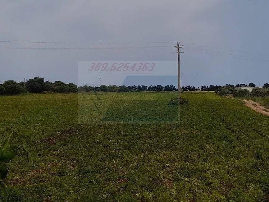 terreno agricolo in vendita a Siracusa in zona Isola / Plemmirio