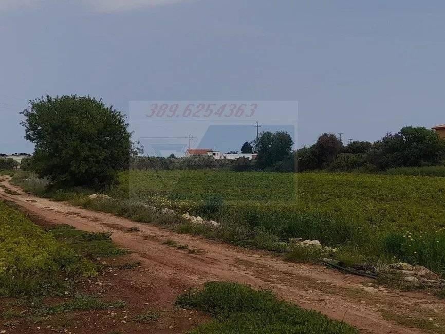 terreno agricolo in vendita a Siracusa in zona Borgata
