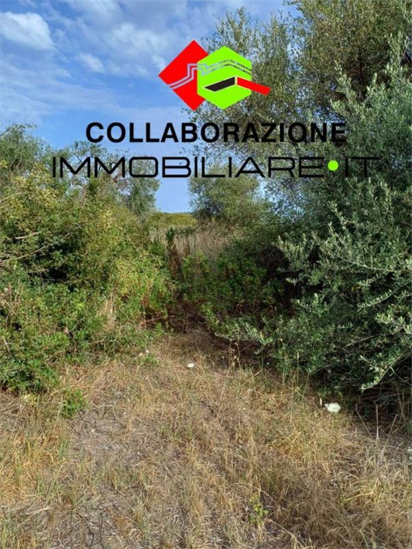terreno agricolo in vendita a Siracusa