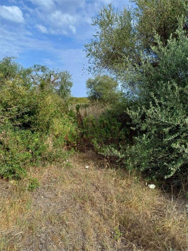 terreno agricolo in vendita a Siracusa